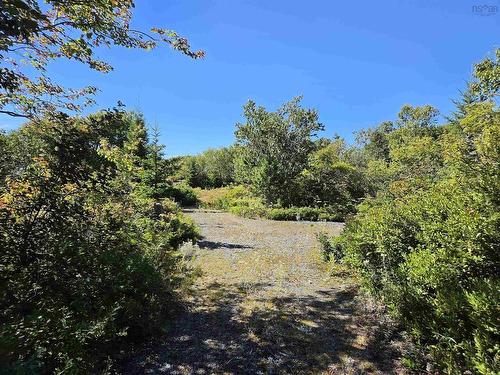 Lot 101 Kelly Point Drive, Prospect, NS 