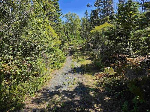 Lot 101 Kelly Point Drive, Prospect, NS 