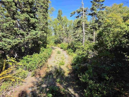 Lot 101 Kelly Point Drive, Prospect, NS 