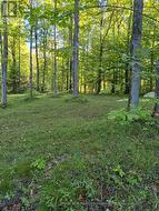 REG COMP PLAN 828 LOT 2 FLEWELLING ROAD Grey Highlands, ON N0C 1E0