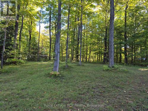 Reg Comp Plan 828 Lot 2 Flewelling Road, Grey Highlands, ON 