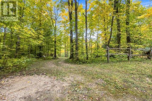 Reg Comp Plan 828 Lot 2 Flewelling Road, Grey Highlands, ON 