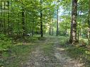 Reg Comp Plan 828 Lot 2 Flewelling Road, Grey Highlands, ON 