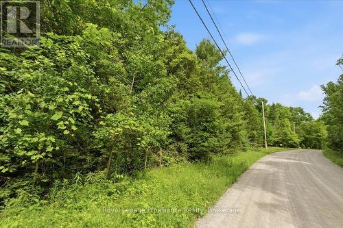 0 Swinburne Lane, Stirling-Rawdon (Rawdon Ward), ON 