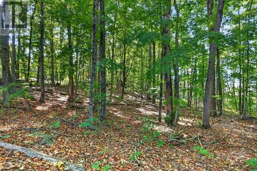 4454 Bellrock Road, Frontenac (Frontenac South), ON 