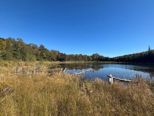 Water view - Ch. Des Érables, Harrington, QC 