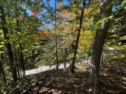 View - 