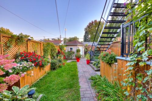 Courtyard - 1280  - 1282 9E Avenue, Montréal (Rivière-Des-Prairies/Pointe-Aux-Trembles), QC 