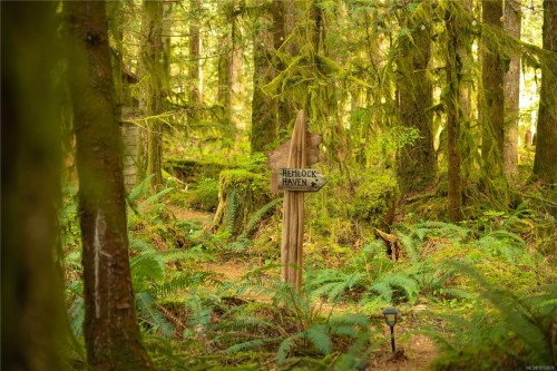 9025 Gilgan St, Honeymoon Bay, BC 