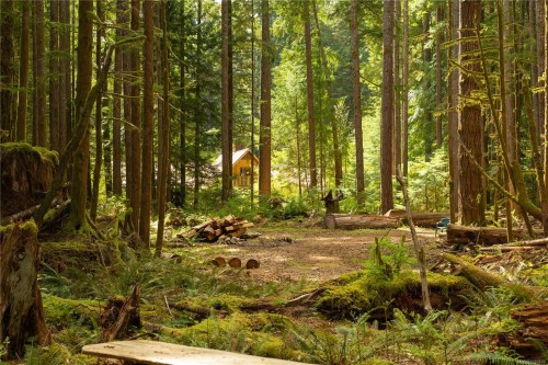 9025 Gilgan St, Honeymoon Bay, BC 