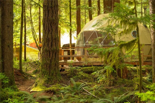 9025 Gilgan St, Honeymoon Bay, BC 