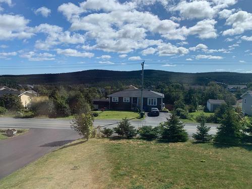 324 Indian Meal Line, Torbay, NL 