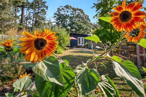 4826 West Saanich Rd, Saanich, BC 