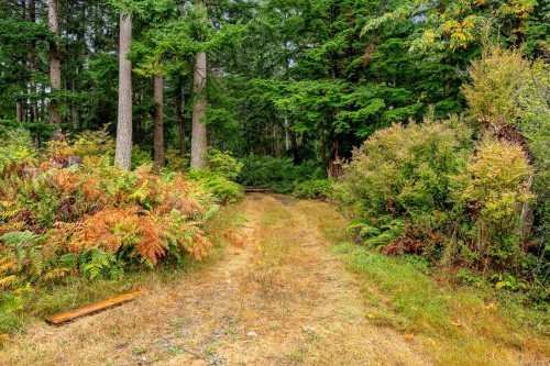 652 Fox Rd, Quadra Island, BC 