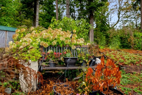 652 Fox Rd, Quadra Island, BC 