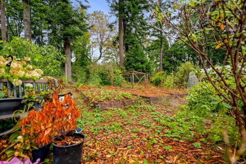 652 Fox Rd, Quadra Island, BC 