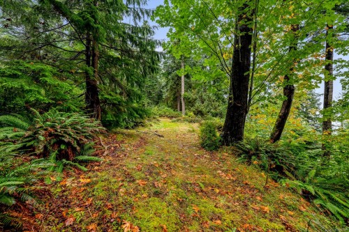 652 Fox Rd, Quadra Island, BC 