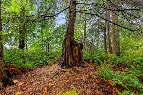 652 Fox Rd, Quadra Island, BC 