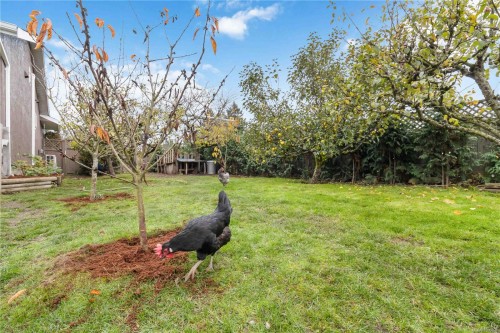 6756 Central Saanich Rd, Central Saanich, BC 