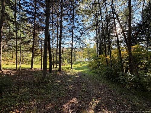 198 Riviere Madawaska Rd, Saint-Jacques, NB 
