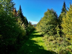 Autre - 
