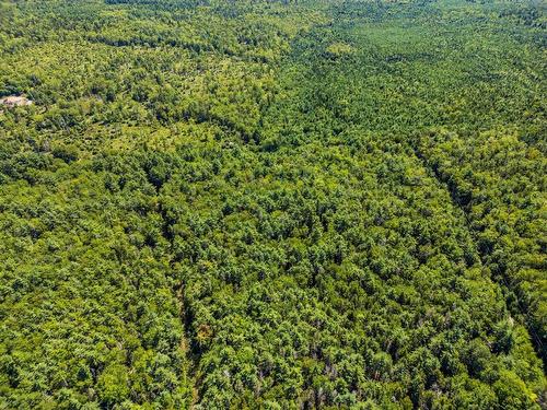 Lot 57 Little Halfway Lake Road, Kemptville, NS 