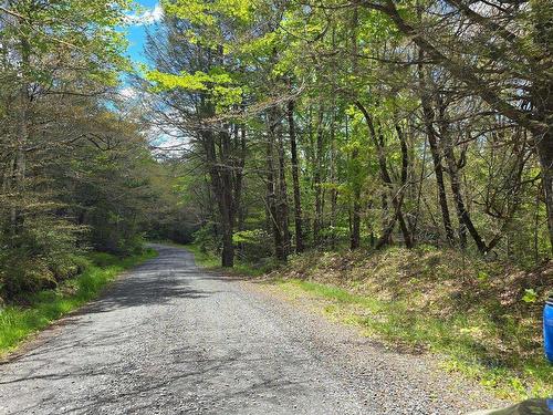 Lot 2 Handley'S Point Road, Molega, NS 