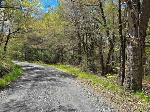 Lot 2 Handley'S Point Road, Molega, NS 