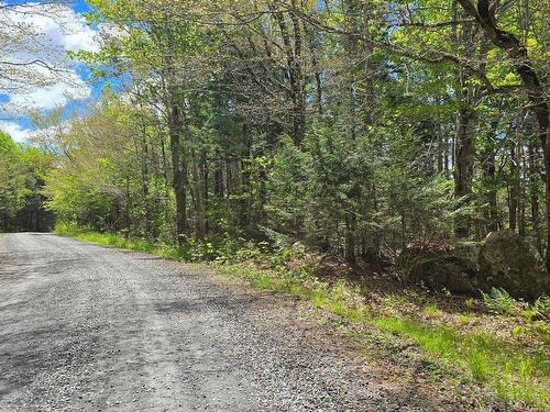 Lot 2 Handley'S Point Road, Molega, NS 