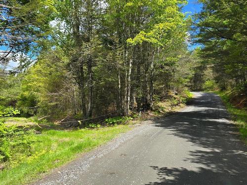 Lot 2 Handley'S Point Road, Molega, NS 