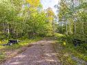 7 Goodwin Road, Chapman Settlement, NS 
