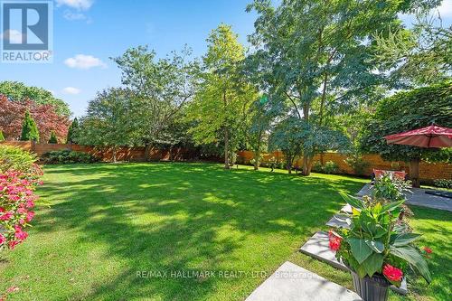 Backyard - 18 Ardmore Crescent, Richmond Hill, ON 