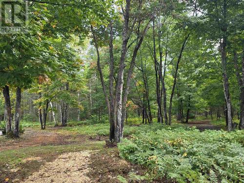 197 Finn Rd, Searchmont, ON 