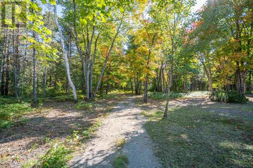 197 Finn Rd, Searchmont, ON 