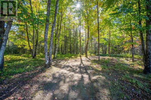 197 Finn Rd, Searchmont, ON 