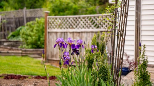 5989 Garvin Rd, Union Bay, BC 