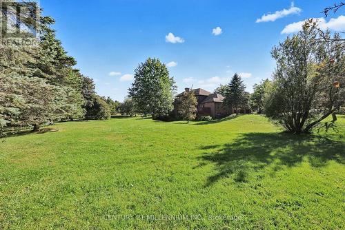 16 Tanglewood Drive, Caledon, ON 