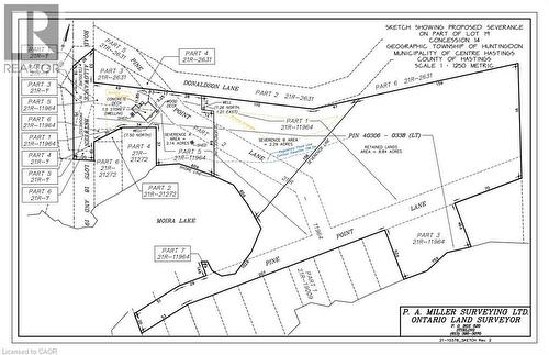 527 Pine Point Lane, Madoc, ON 