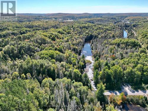 Pt Lt 7 Con 10 Pickerel & Jack Lake Road, Armour, ON 