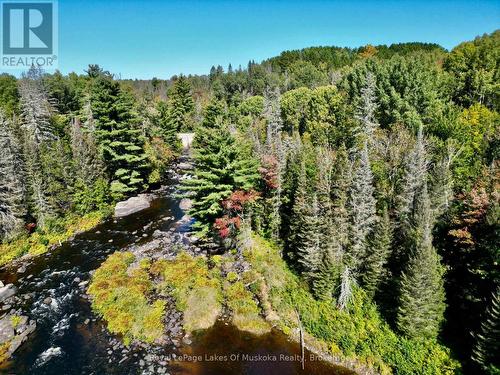 Pt Lt 7 Con 10 Pickerel & Jack Lake Road, Armour, ON 