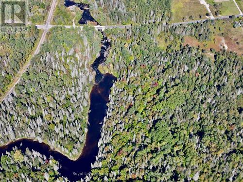 Pt Lt 7 Con 10 Pickerel & Jack Lake Road, Armour, ON 