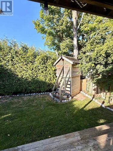 Backyard - 227 Hickling Trail, Barrie, ON 
