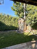 Backyard - 