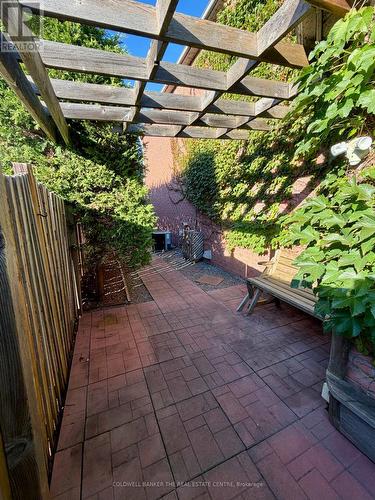 Backyard - 227 Hickling Trail, Barrie, ON 