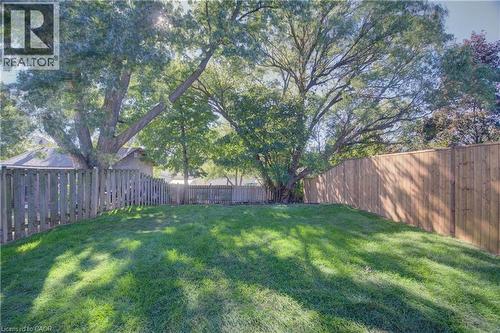 Expansive lawn area, mature trees, wood privacy fencing, and wood picket fencing - 210 Ferguson Avenue, Cambridge, ON 