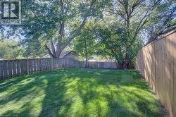 Expansive lawn area with mature trees and a wood privacy fence - 