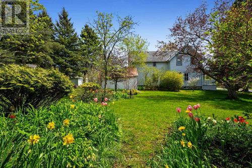 54 Toronto Street, Cramahe, ON 