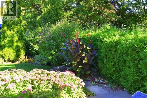 31 Kemp Drive, Hamilton, ON 