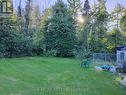 Back lawn and mature trees - 4044 Bayview Avenue, Ramara, ON 