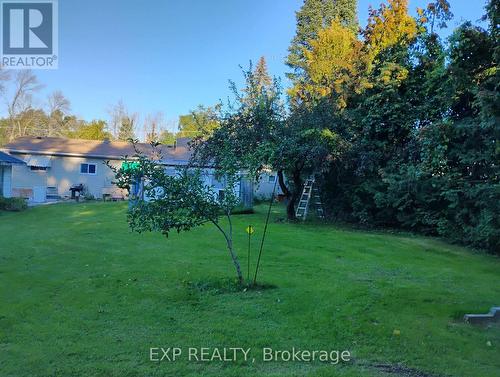 Backyard - 4044 Bayview Avenue, Ramara, ON 